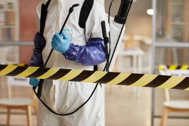 Professional Hoarding Cleanup technician working in West Roxbury, MA